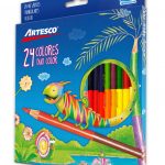 Colores Largos Duo Color ARTESCO x 24/48